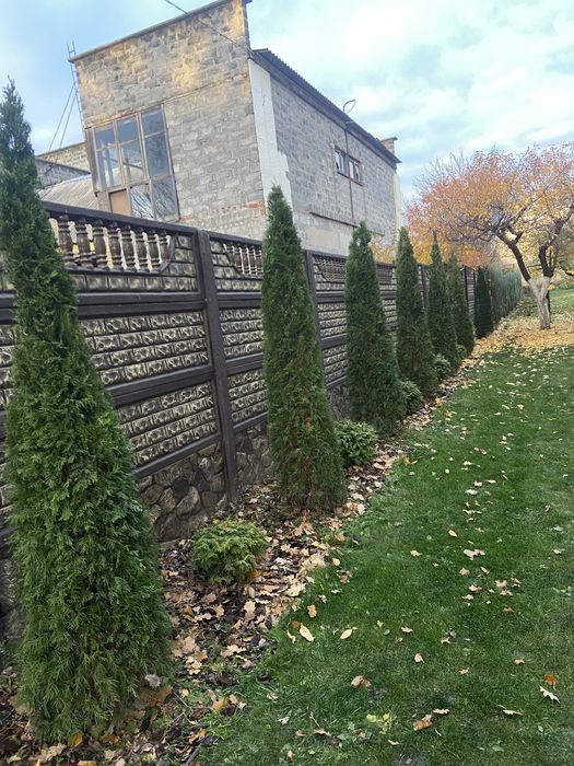 Стрижка плодовых,и декоративных растений