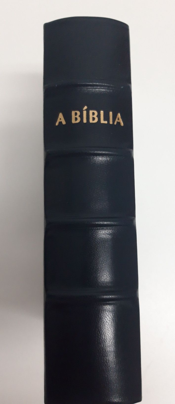 A Nova Bíblia dos Capuchinhos