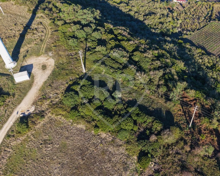 Terreno Rústico para Venda