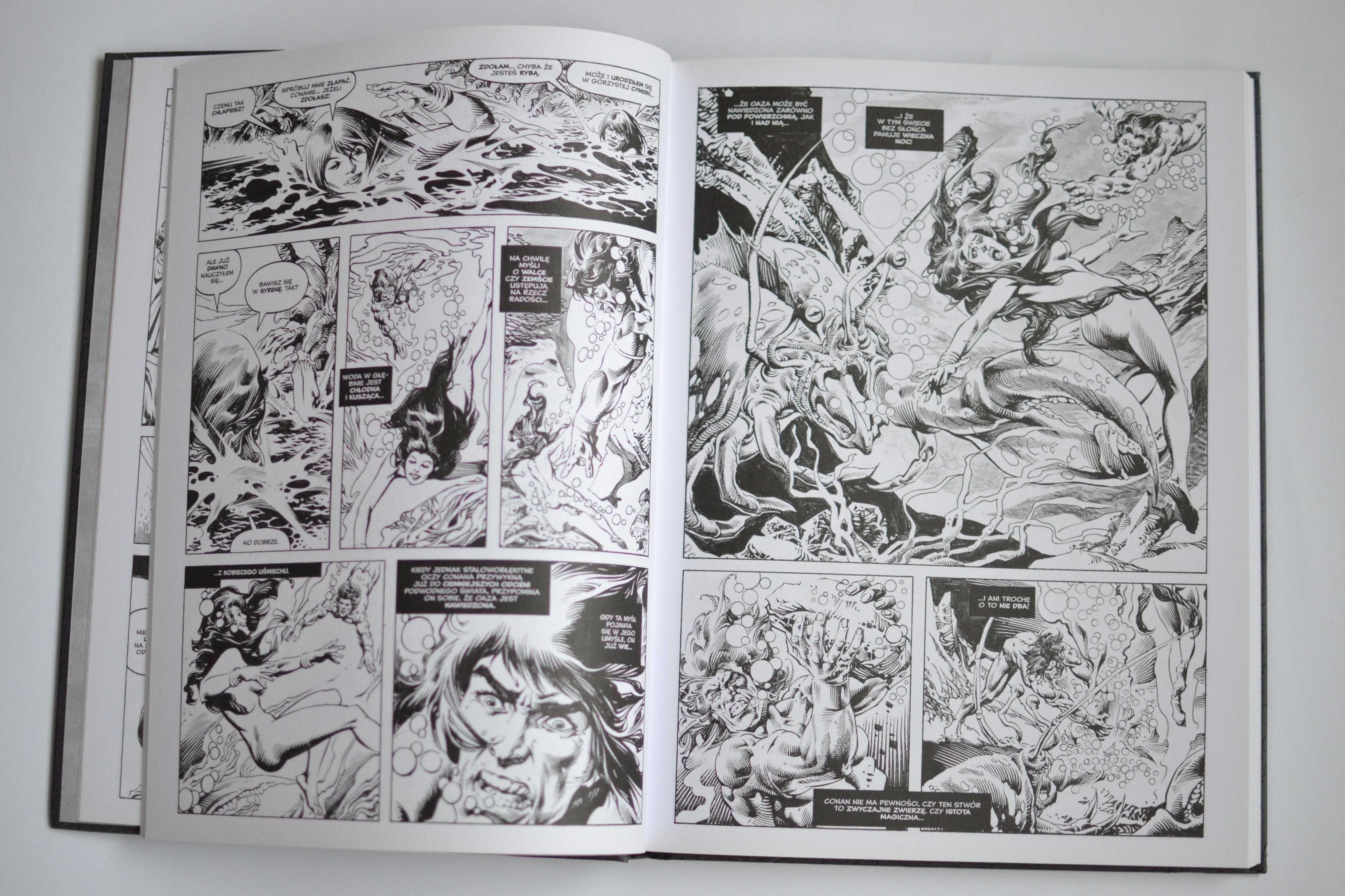 Conan Barbarzyńca Kolekcja Komiksy wyd: Hachette Różne tomy