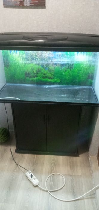 аквариум 200л с тумбой