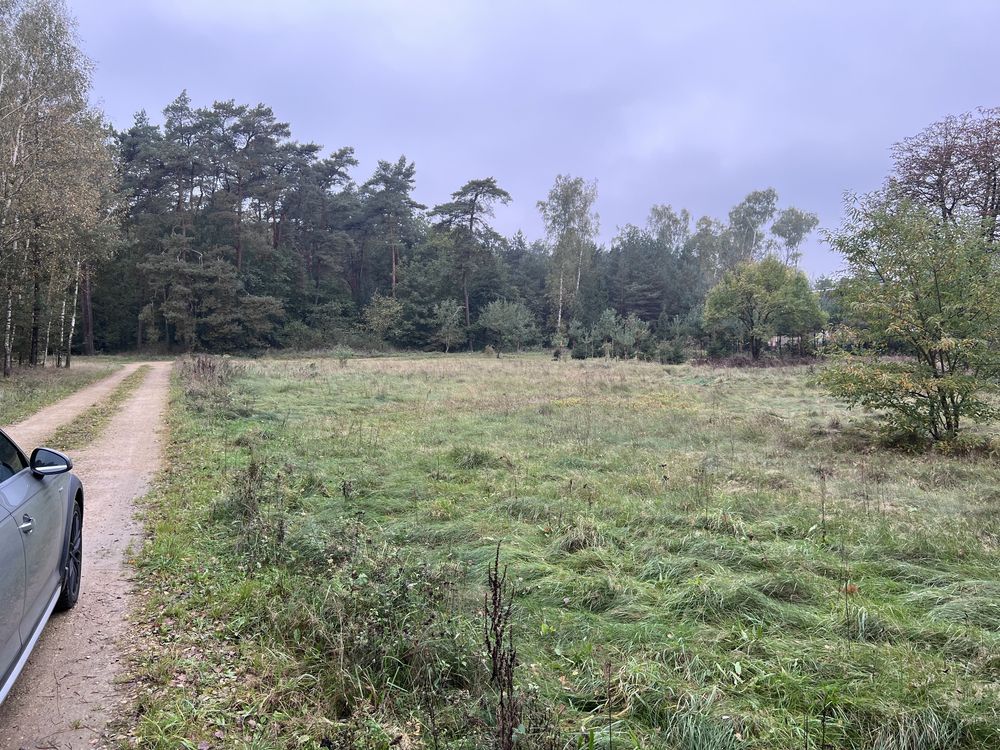 Piękna działka przy lesie, Osiny, powiat łaski, 1400 m2, okazja !