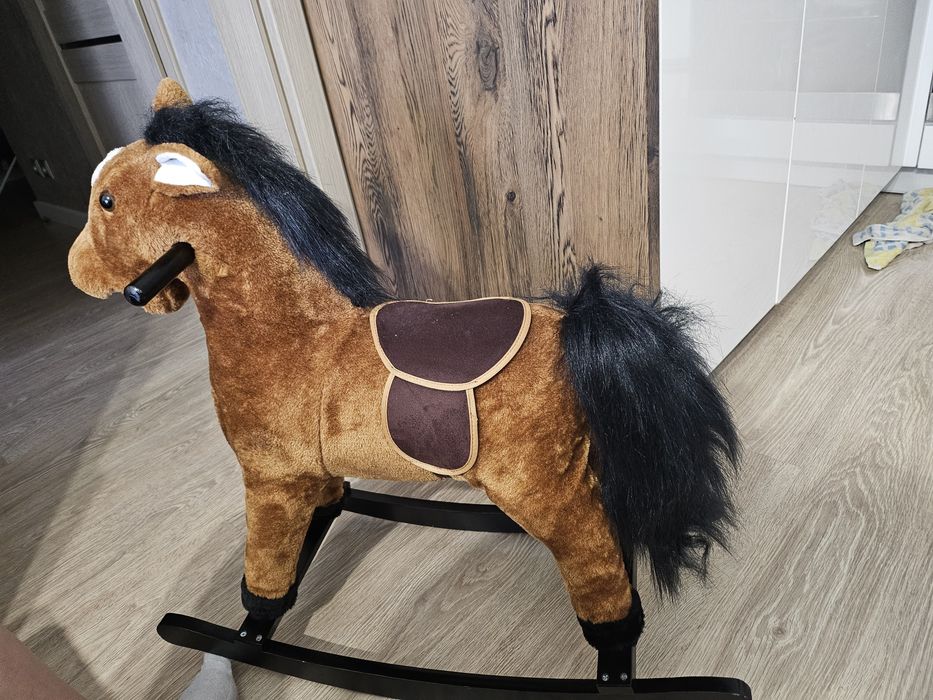 Konik na biegunach.