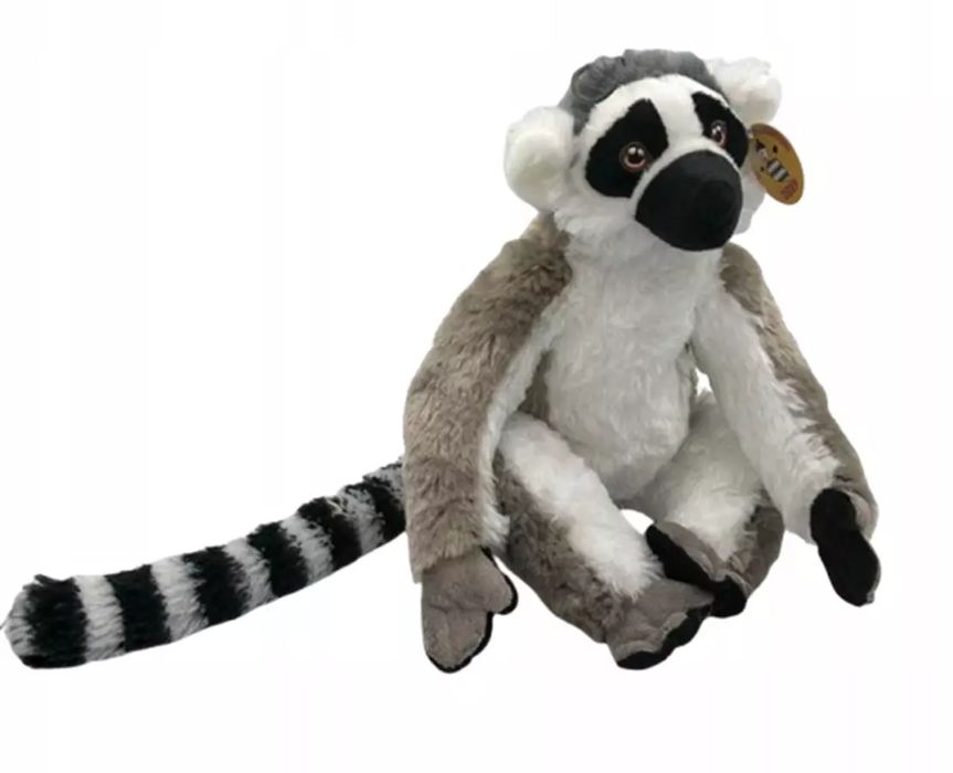 Lemur Mały 42561. Deef
