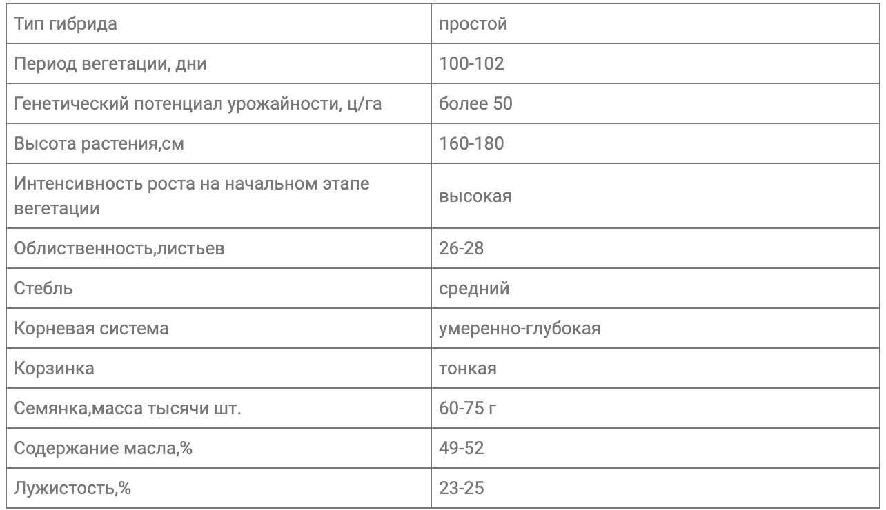 Насіння соняшника ЛАТІТУДА - ЕКСТРА