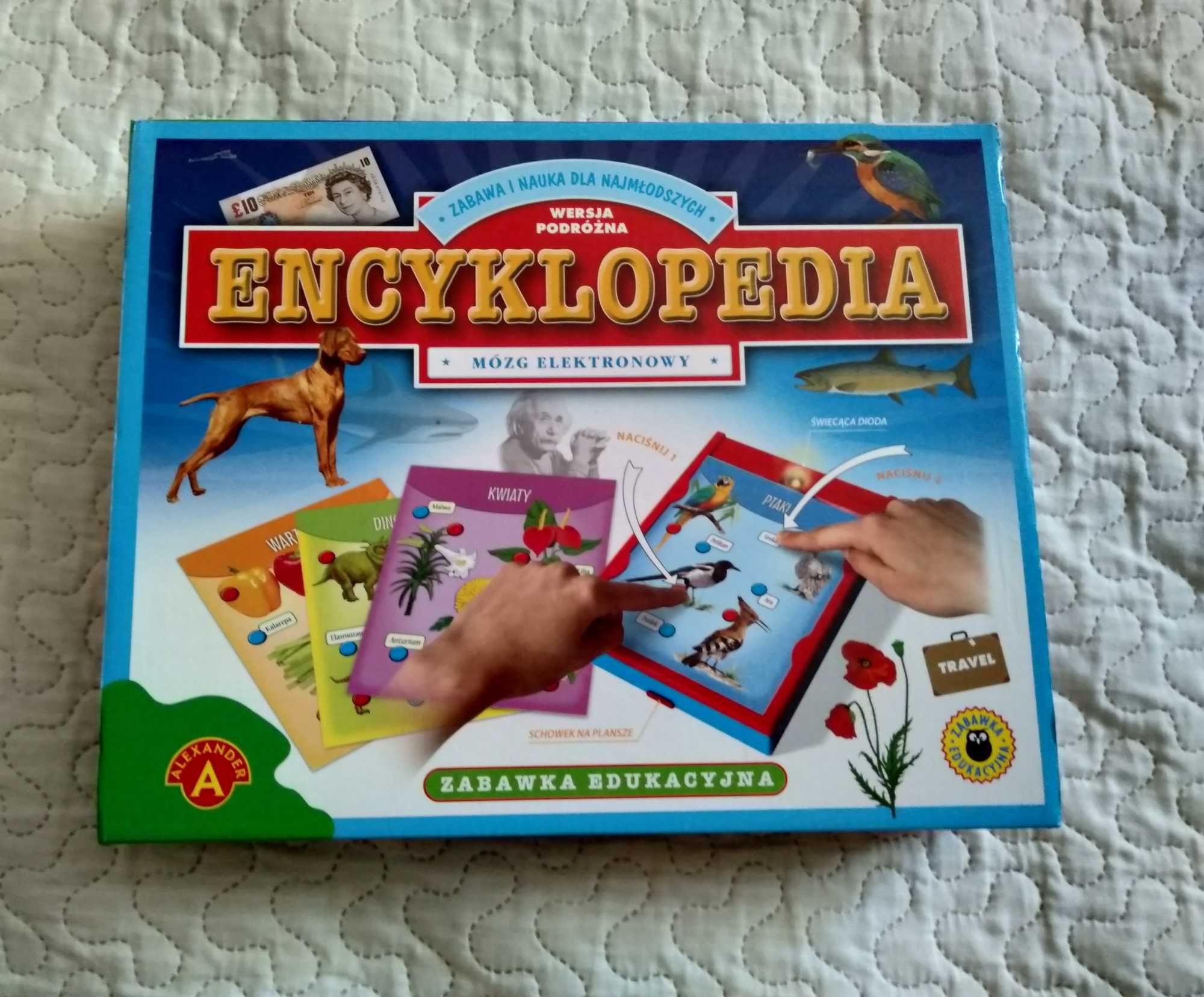 Encyklopedia zabawka edukacyjna