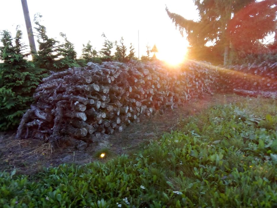 suche drewno jabłonkowe