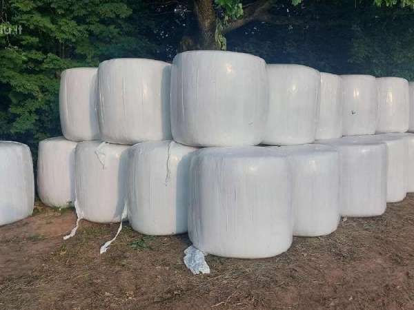 Sprzedam bele sianokiszonka siana  tegoroczne transport w cenie