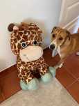 Girafa Peluche Gigante