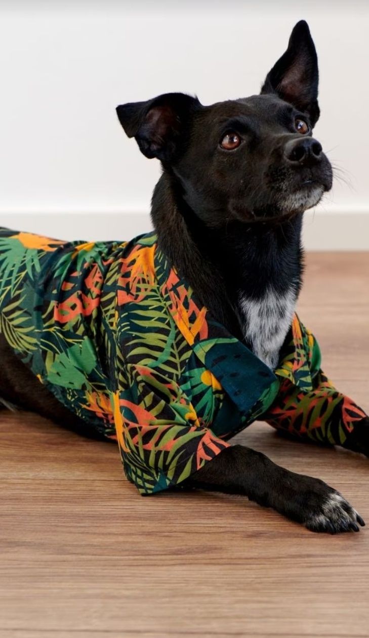 Рубашка шапочка одежда одяг Бандана для собак собачки песиків тварин