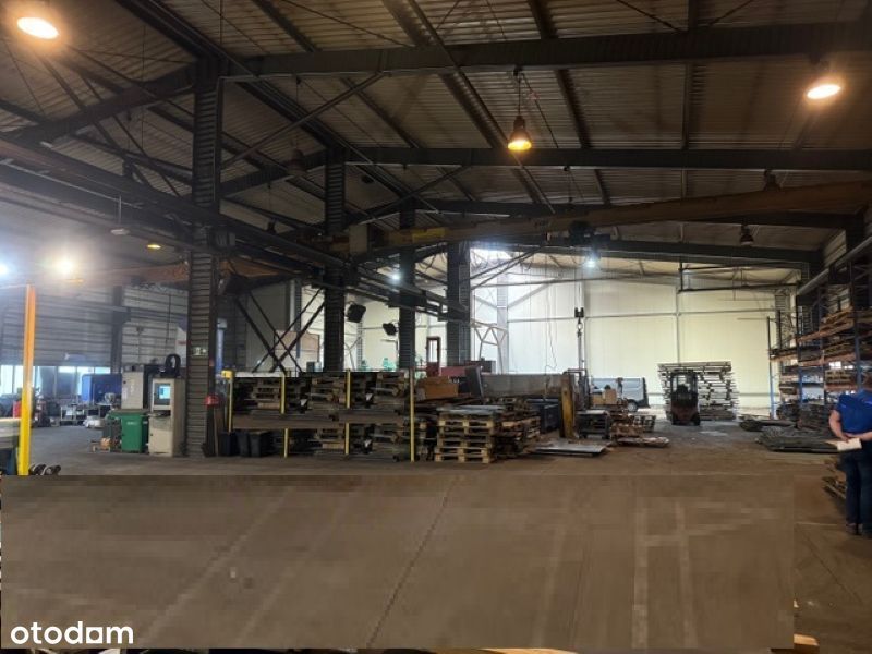 Hala z suwnicami na wynajem