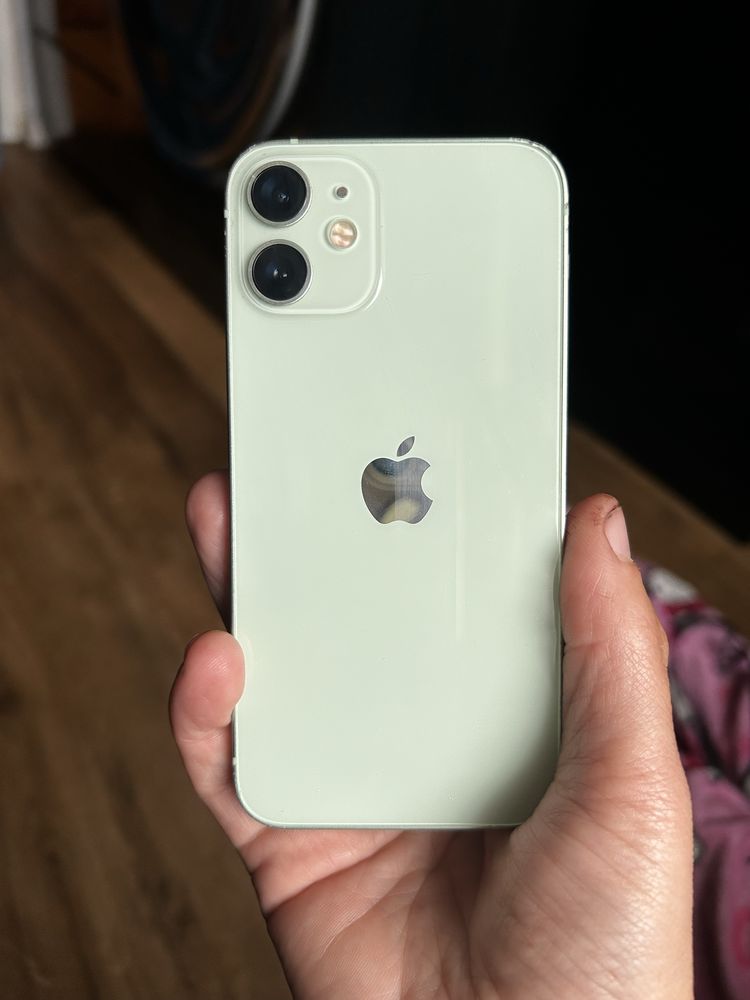 Iphone 12mini z caisami