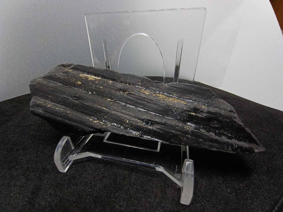 Skamieniałość Karbońska - Kora Sygilarii z Pirytem