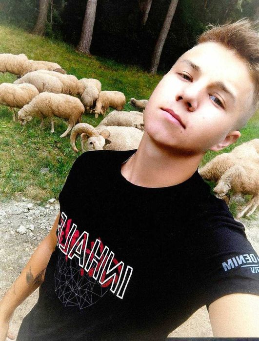 Продам вівці живою вагою