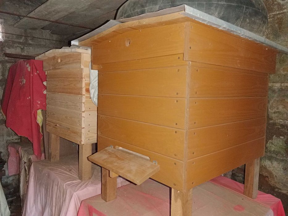 Ule dadant drewniane