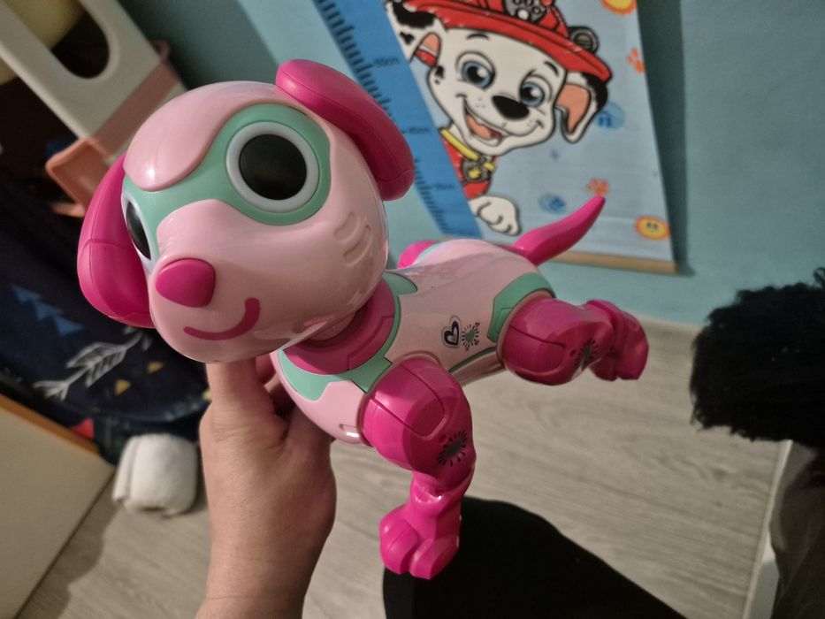 Pies Robot na pilota