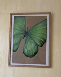 Картина пастеллю картини картины пастель живопис метелики бабочки