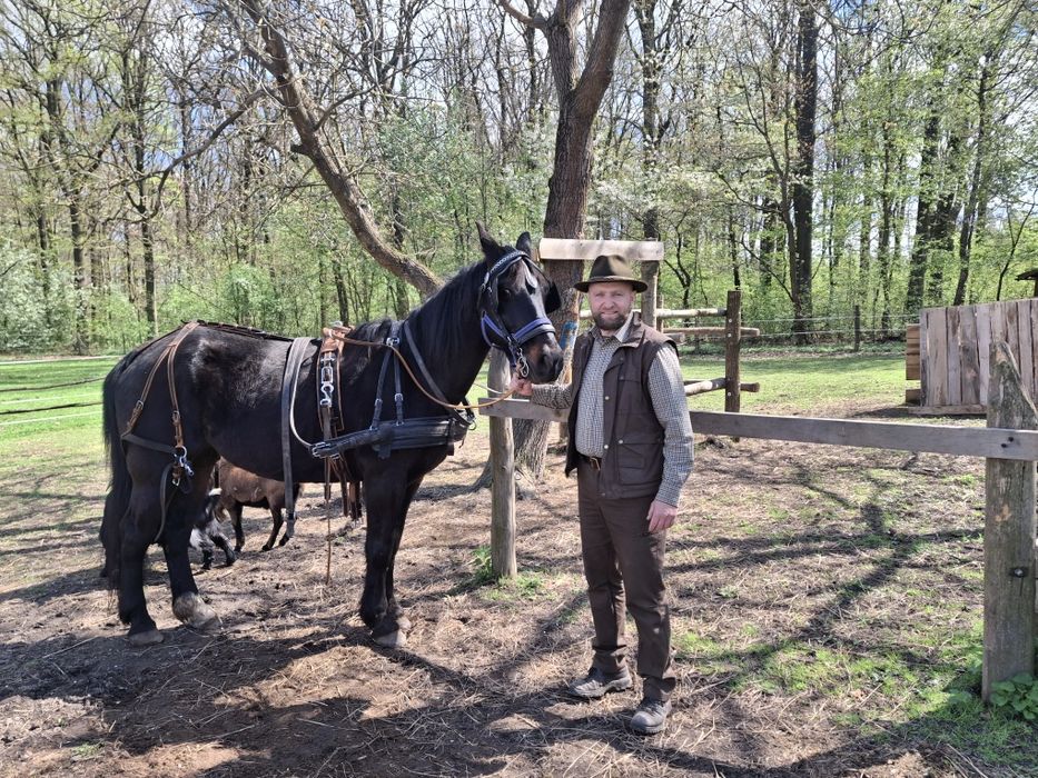 Bryczka konna sprzedam