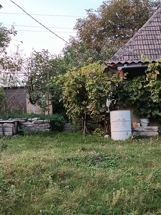 Два невеликих будинки  під дачу