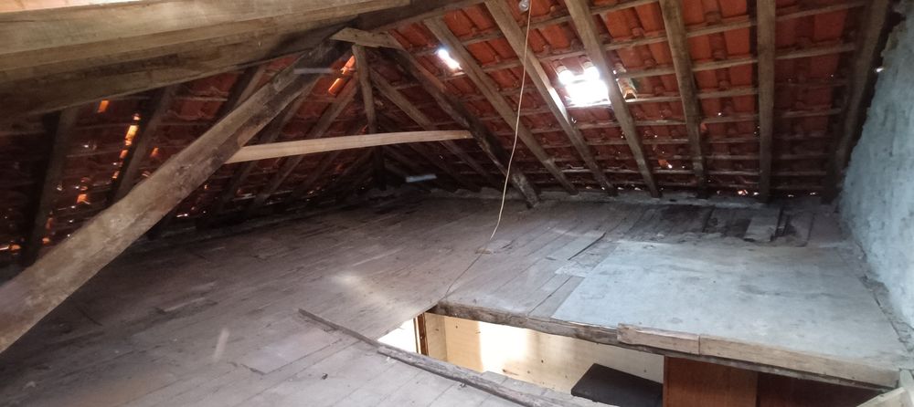 Casa pinheiro de coja