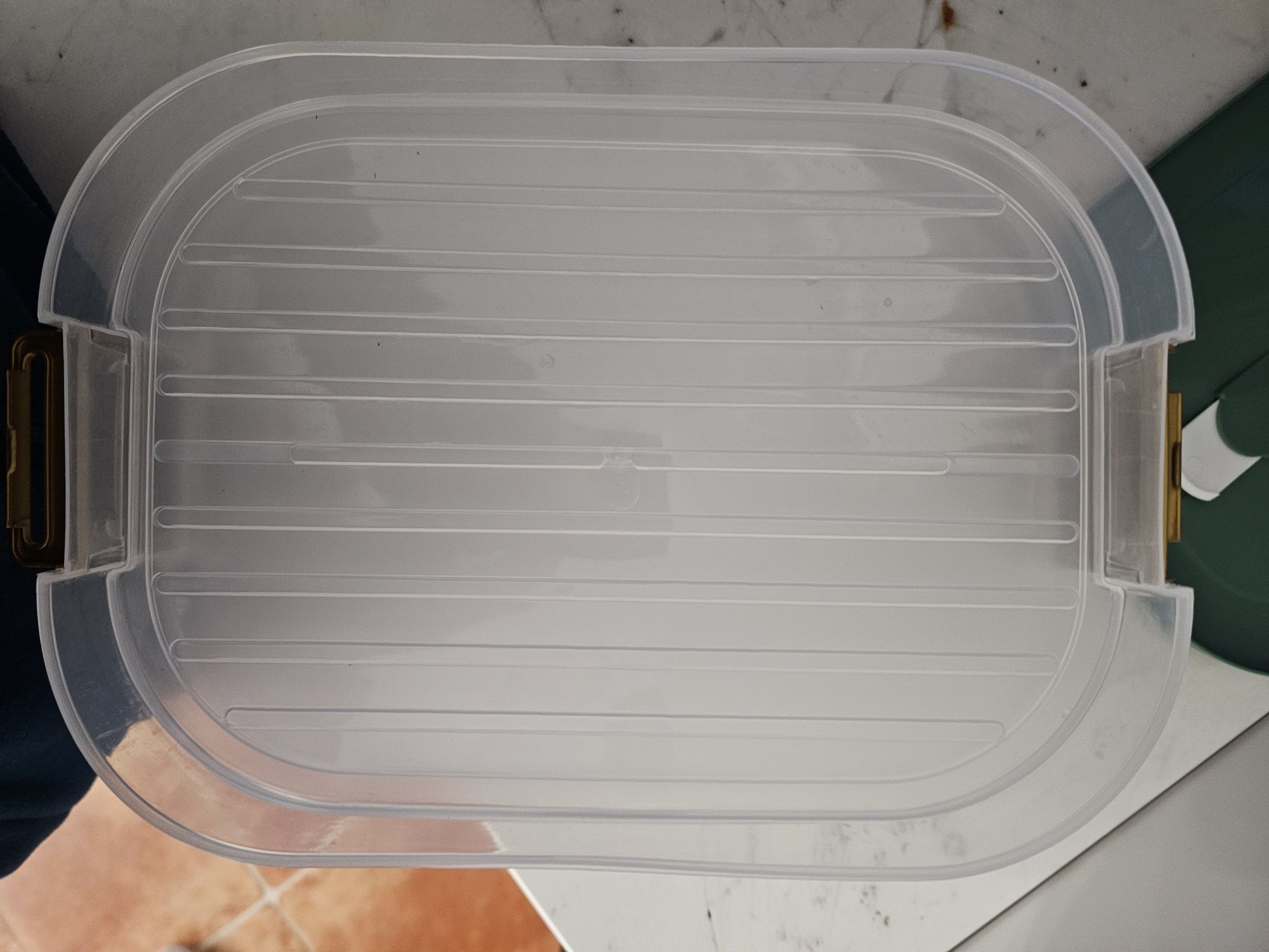 Caixa armazenamento alimentos