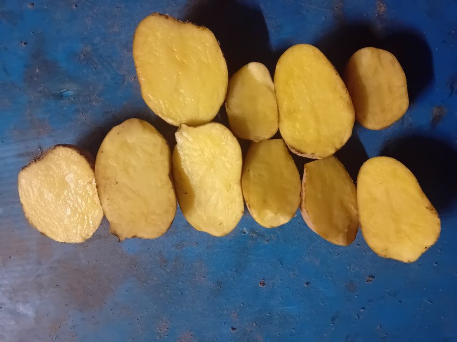 Sprzedam ziemniaki Melodia Catania