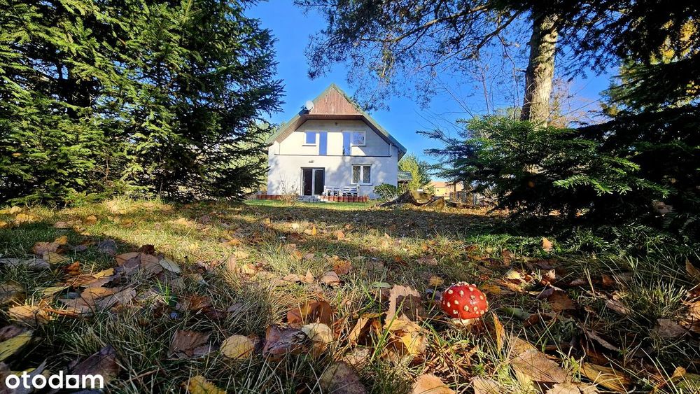 Cisza, las i własny ogród – dom 126 m² w Sosnówce z fotowoltaiką