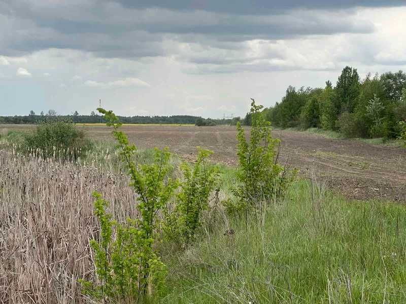 Земельна ділянка (1.2799 га) - с.Нова Кам'янка Львівська обл.