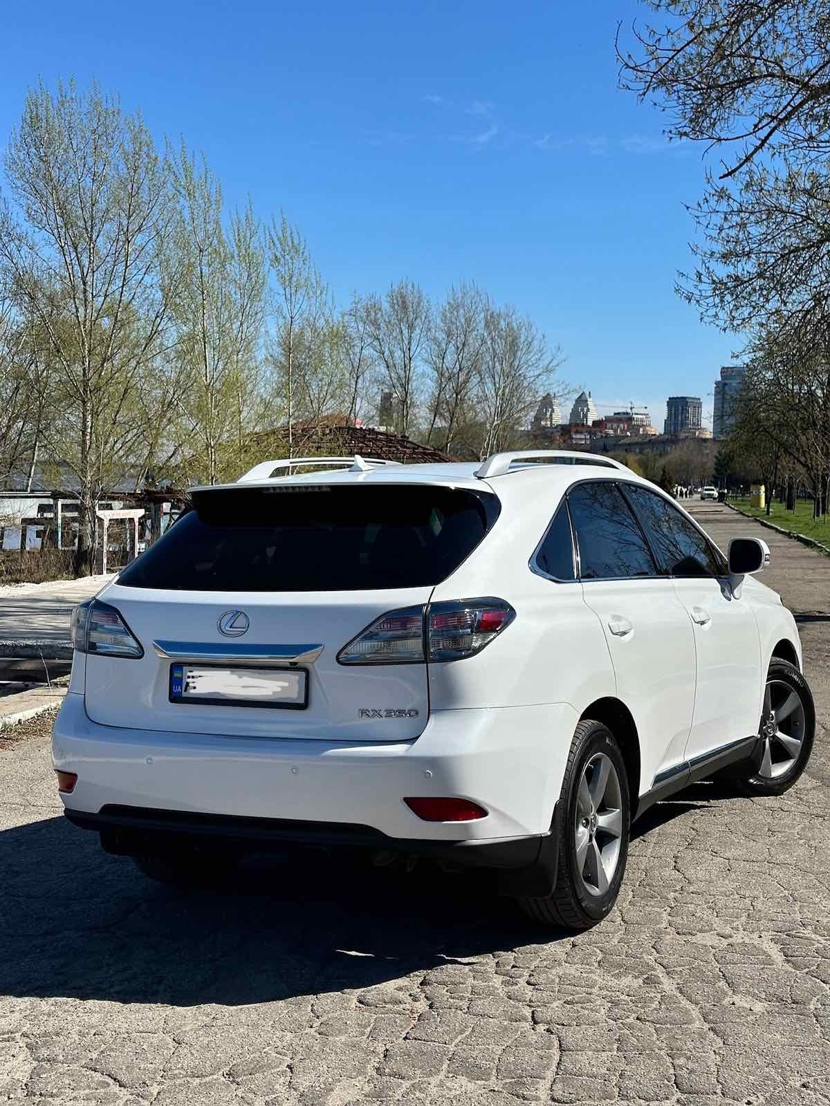 LEXUS - RX 350 2012 рік білий перламутр