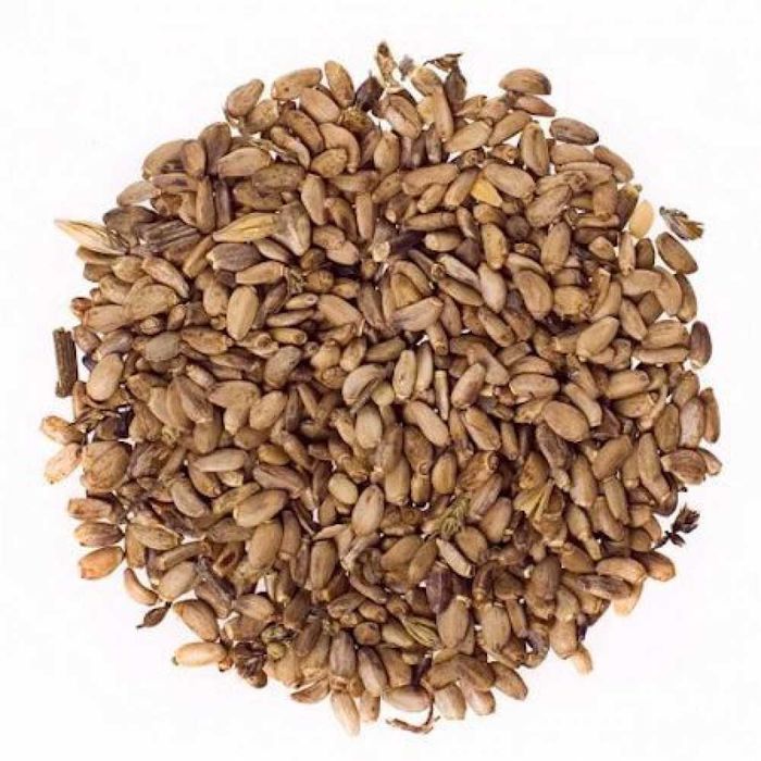 Семена расторопши 2025. Насіння розторопші 2025 для холодного віджиму