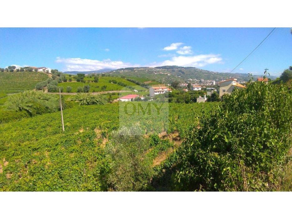 Lotes Para Construção de Moradia a 6 Km do Peso da Régua