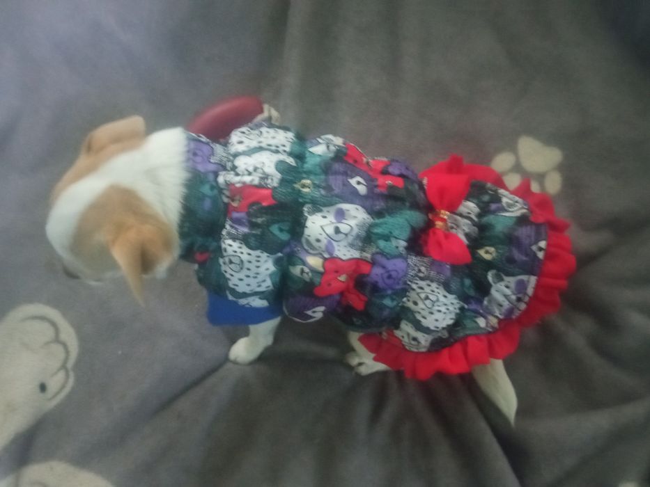 Одежка зимняя для собачки