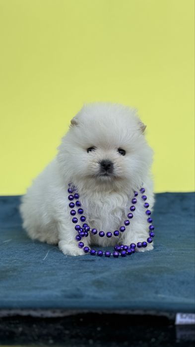 Міні хлопчик бусінка