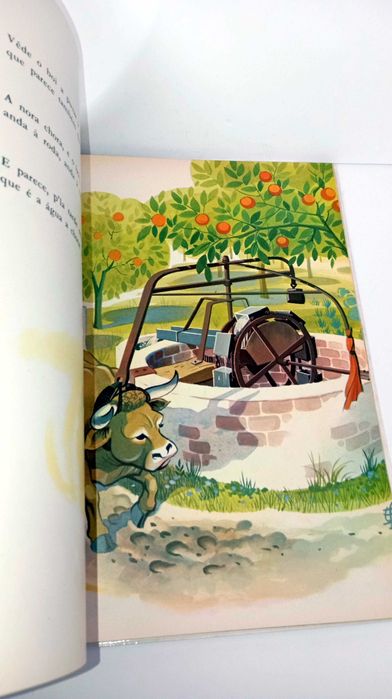 Animais Nossos Amigos