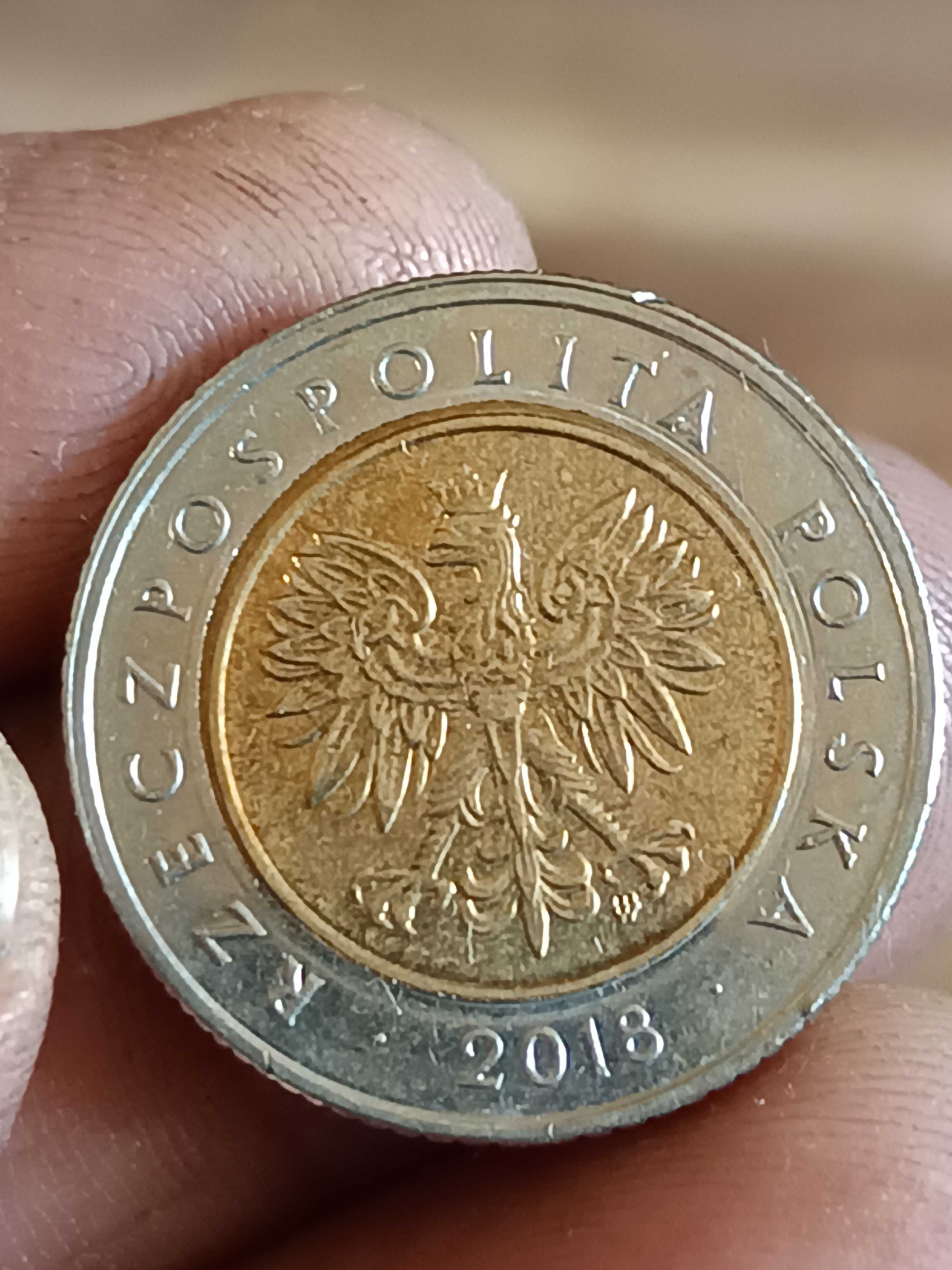 Sprzedam 5 zloty 2018 r