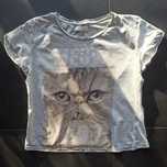 Koszulka z kotem Pull & Bear Original 100% cotton! Cute cat.