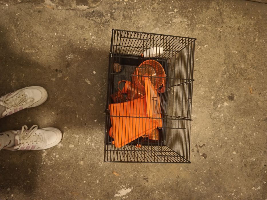 Klatka dla chomika 80zl