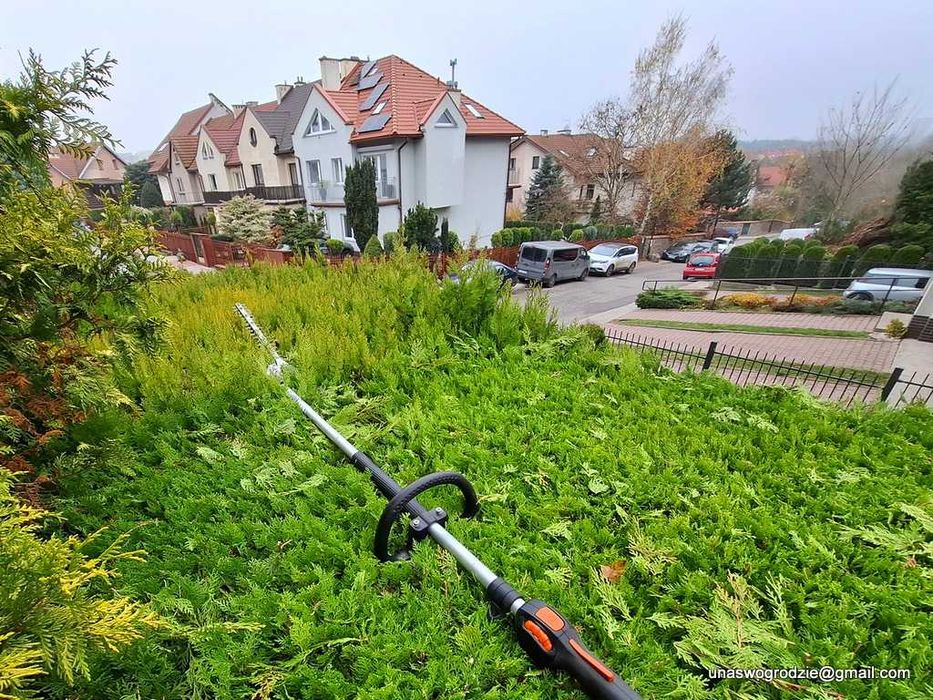 przycinanie żywopłotów tui, wycinanie gałęzi, wycinka drzew i krzewów