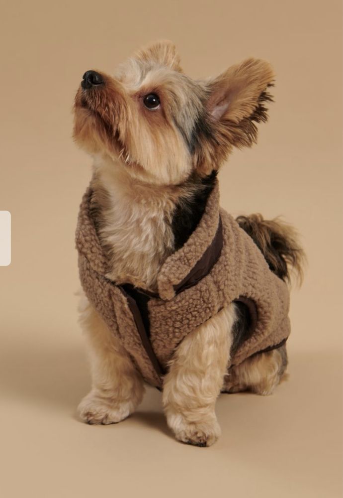 Куртка костюм для собаки