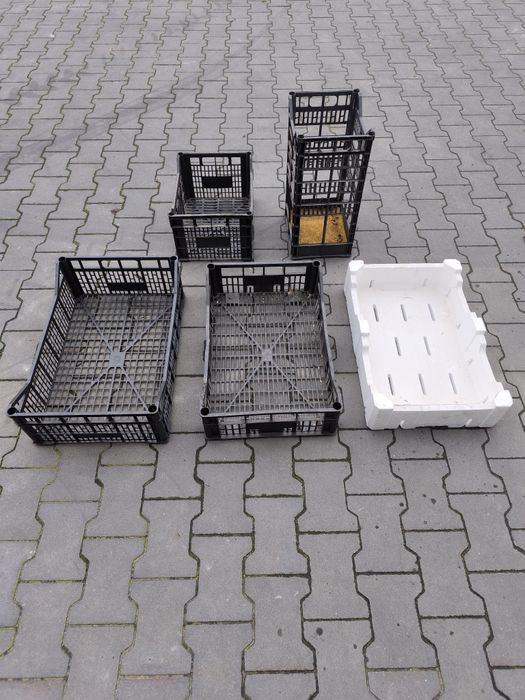 Sprzedam skrzynki plastikowe