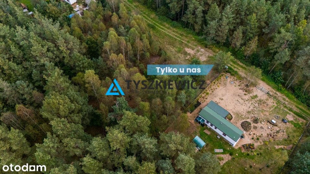 Wyjątkowa działka budowlana niedaleko Stężycy!