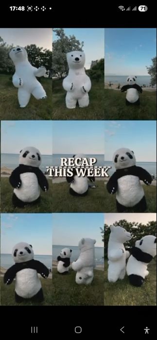 Мишка аниматор 'заказать мишку