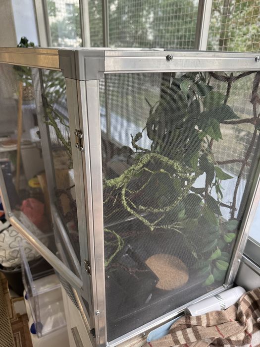 Terrarium dla młodego Kameleona 60x40x40witam