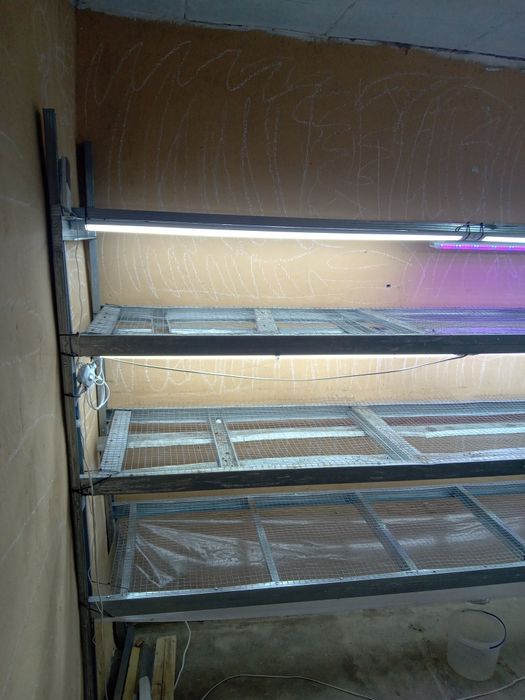 Металлические стелажи