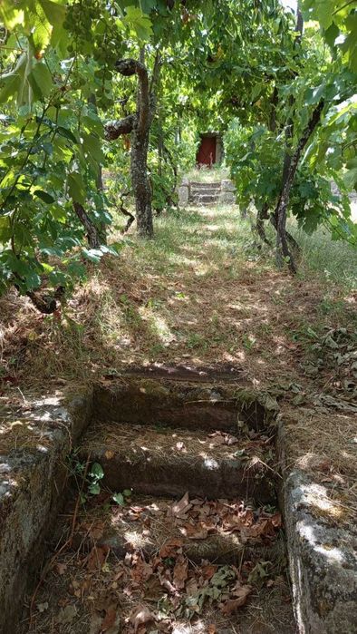 Casa Rural de Habitação