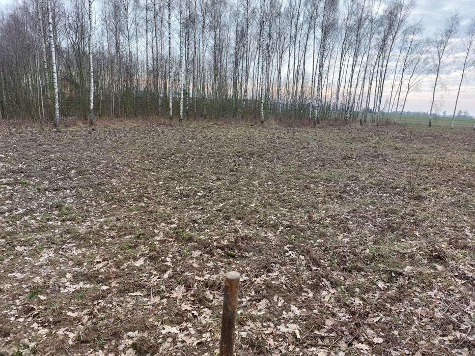 Sprzedam działkę budowlaną z warunkami zabudowy  w pięknej okolicy.