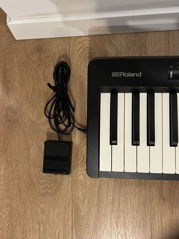 Roland FP-10 + Cover + Pedal + Bag