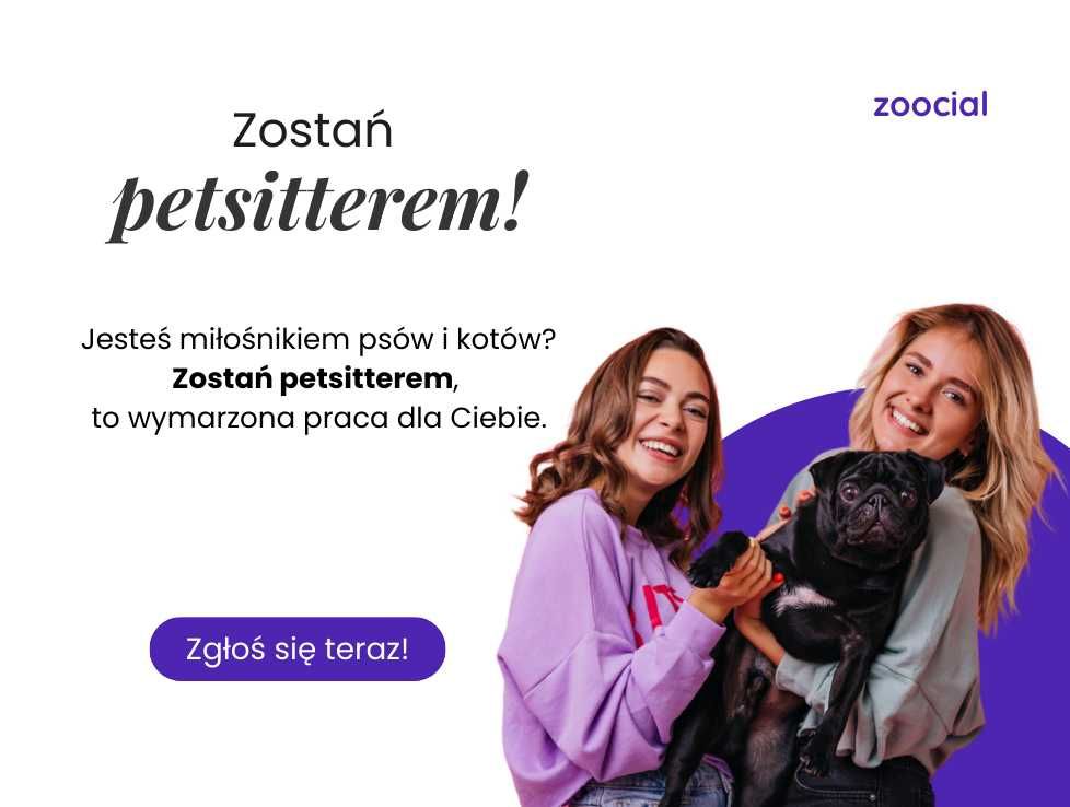 Opieka nad psem i kotem.Petsitter,opiekuna