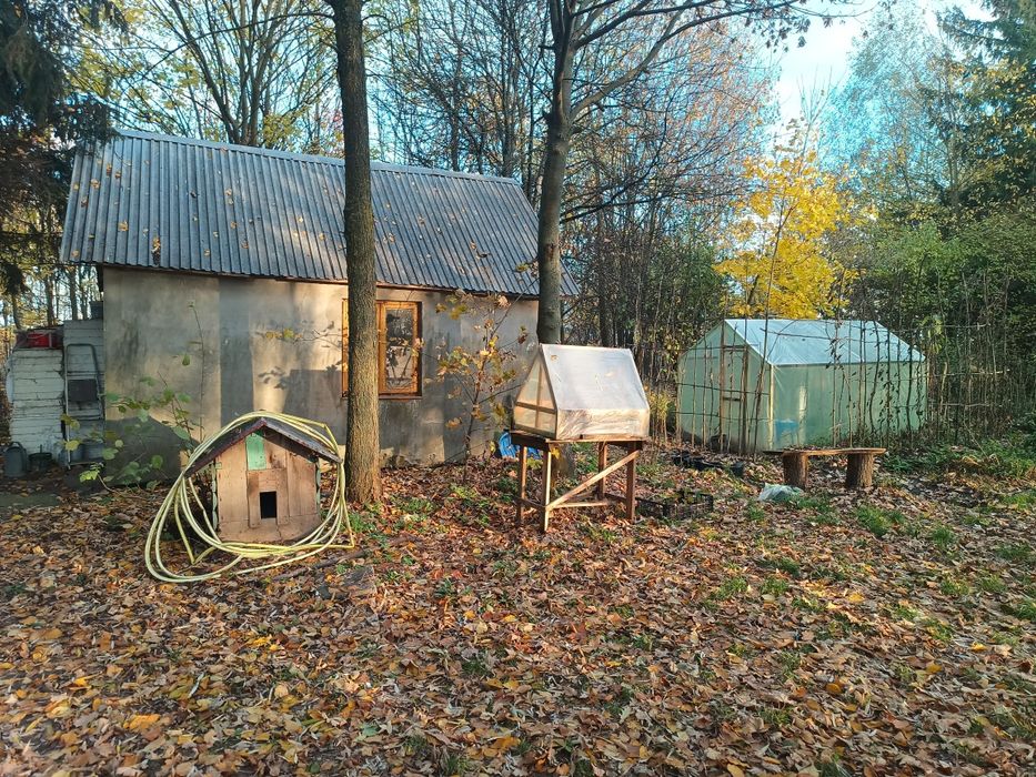 wynajmę dom z podwórkiem LAS ustronne miejsce siedlisko