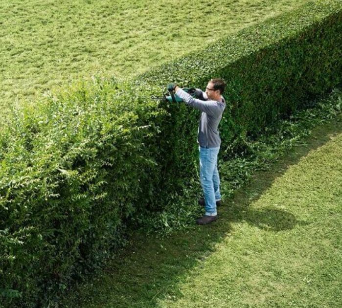 Koszenie trawy wielko powierzchniowe cięcie tui wertykulacja